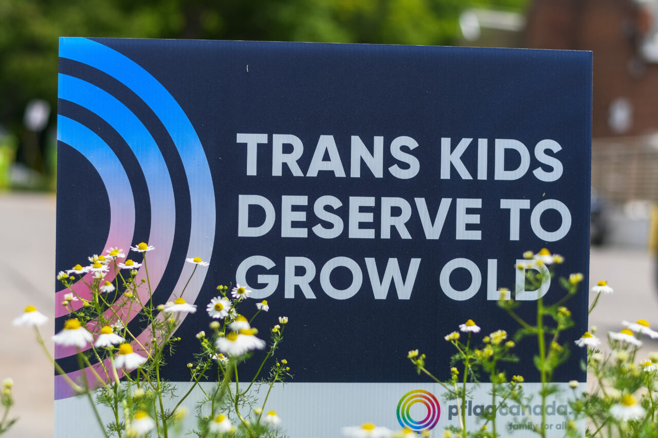 Trans Kids Sign